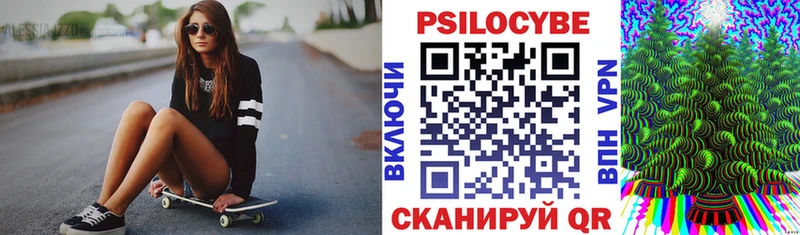 Галлюциногенные грибы Psilocybe  даркнет сайт  Ядрин 